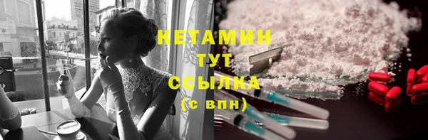 тгк Дмитриев
