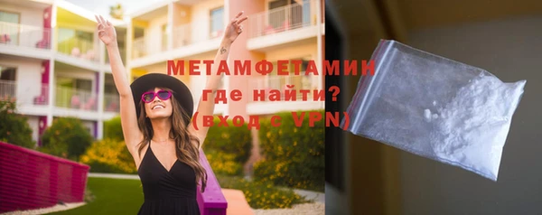 прущие грибы Дмитров
