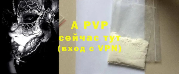 хмурый Гусев