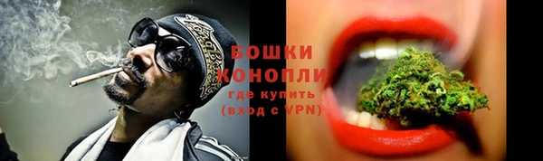 прущие грибы Дмитров