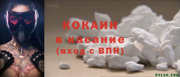 прущие грибы Дмитров