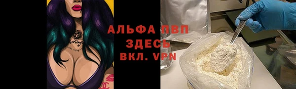 хмурый Гусев