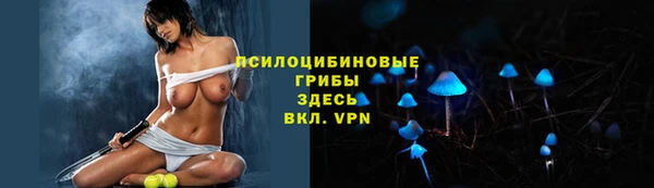 мет Дмитровск