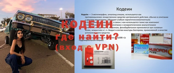 прущие грибы Дмитров