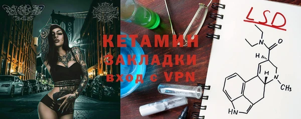 тгк Дмитриев