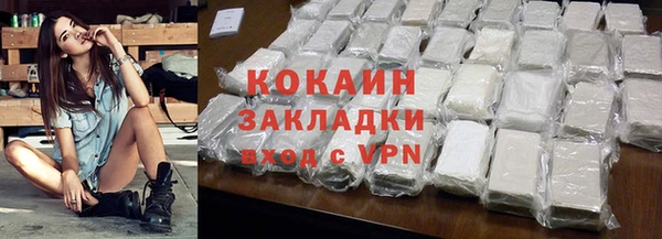 хмурый Гусев